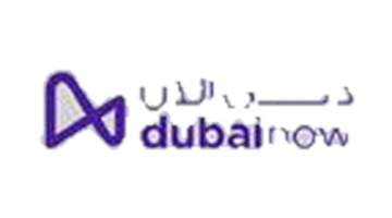 Dubai Now