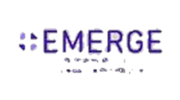 Emerge Petrochem